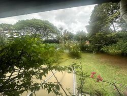 Kings Road (D10), Detached #491392671